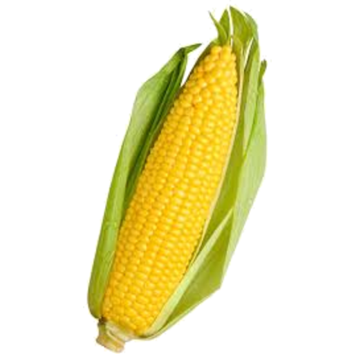 Corn Loose