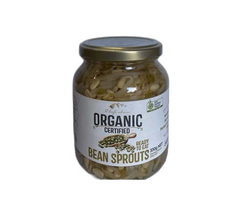 Organic bean sprouts