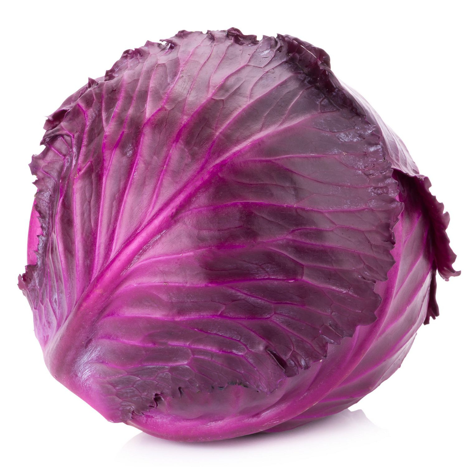 Cabbage Whole Red