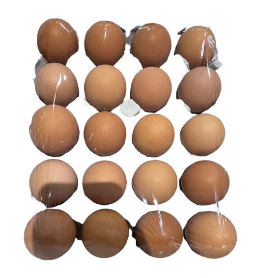Box Eggs