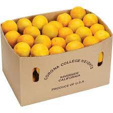 Orange Valencia premium Box 15 kg