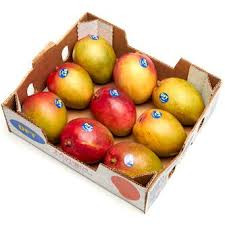Mango R2E2 Premium 15pc
