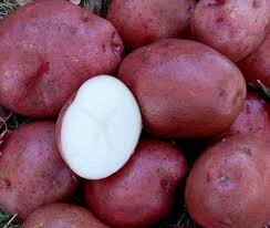 Potato Red Desiree 15kg Box