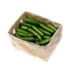 cucumber Lebanese 10kg Box
