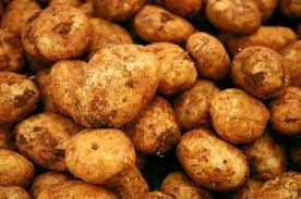 Potato Brushed Premium 20kg Box