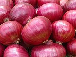 Red Onion 10kg Box