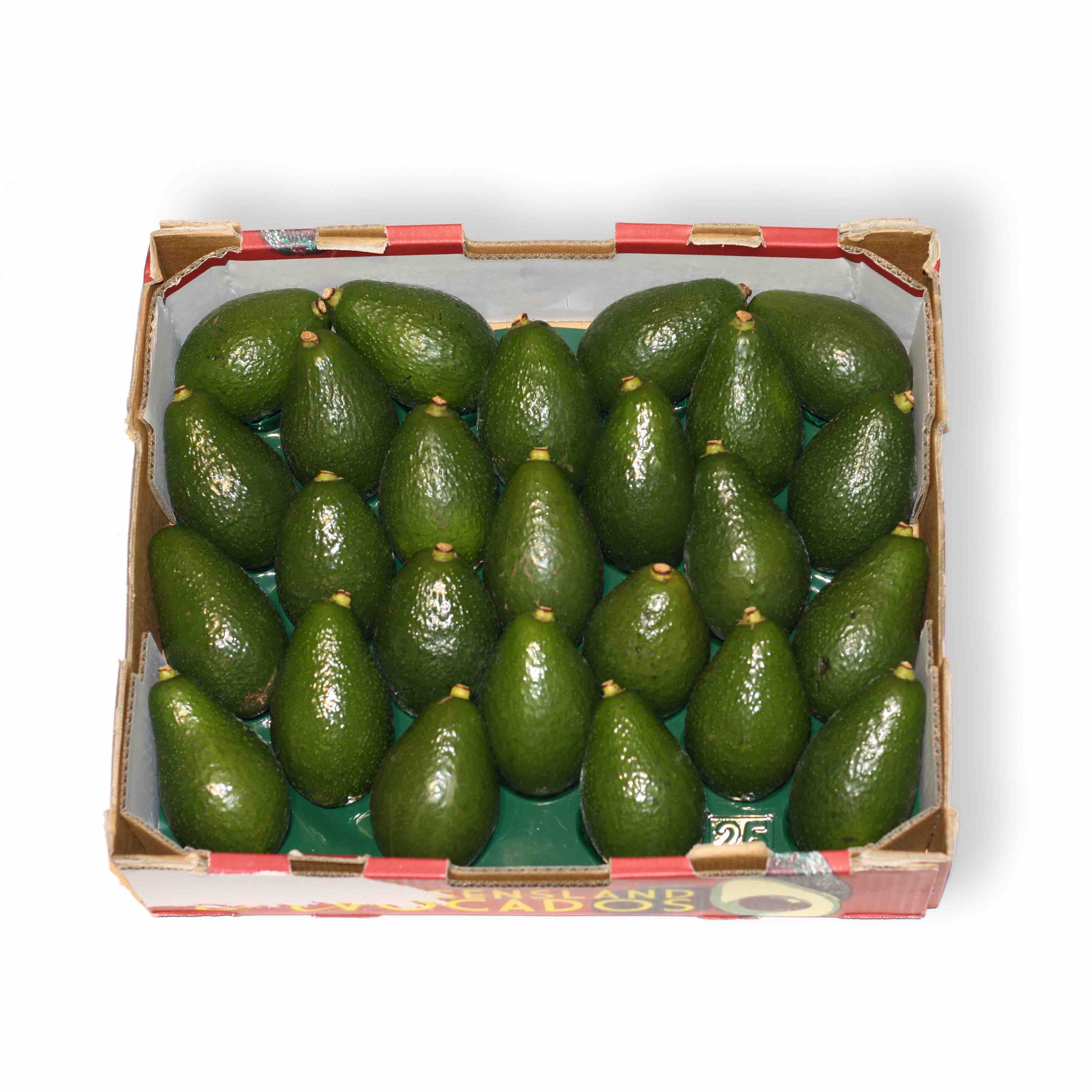 Avocado premium shepard Box 25pieces