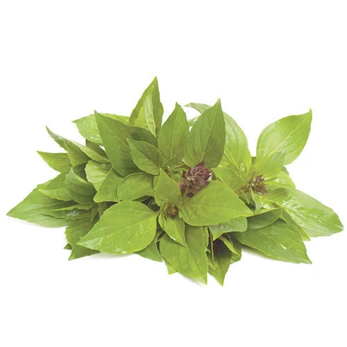 Thai Basil