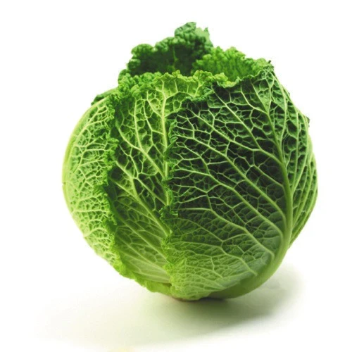 Savoy Cabbage whole