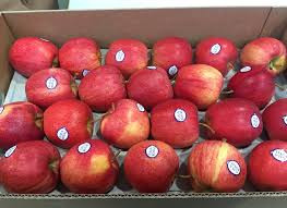 Royal gala apples large 13kg box