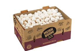 Button Mushrooms premium 4kg box