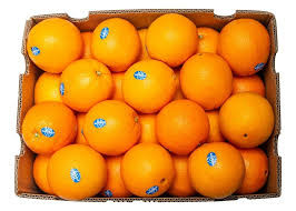 Navel orange box 10kg